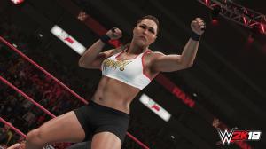 WWE 2K19 PC, wersja cyfrowa 2