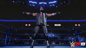 WWE 2K19 PC, wersja cyfrowa 7
