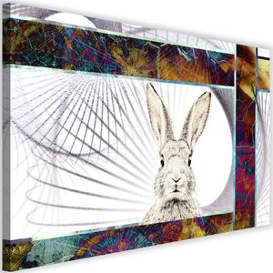 Feeby Obraz na płótnie – Canvas, płochliwy królik 120x80 1