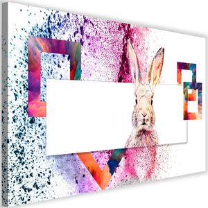 Feeby Obraz na płótnie – Canvas, kolorowy królik 120x80 1