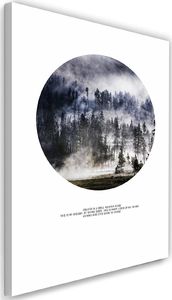 Feeby Obraz na płótnie – Canvas, las w dymie 40x60 1