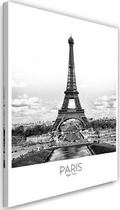 Feeby Obraz na płótnie – Canvas, Paryż Wieża Eiffela 60x90 1