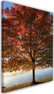 Feeby Obraz na płótnie – Canvas, drzewo jesieni 40x60 1