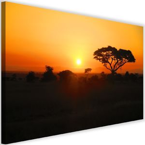 Feeby Obraz na płótnie – Canvas, afrykański zachód słońc 120x80 1