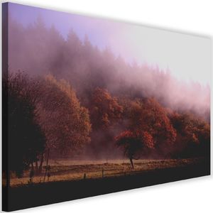 Feeby Obraz na płótnie – Canvas, drzewa we mgle 60x40 1