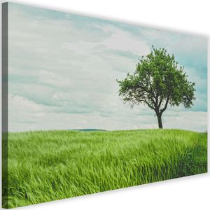 Feeby Obraz na płótnie – Canvas, drzewo na pol 60x40 1