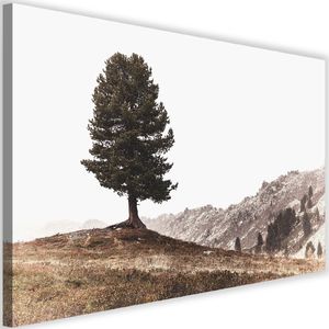Feeby Obraz na płótnie – Canvas, drzewo na wzgórzac 60x40 1