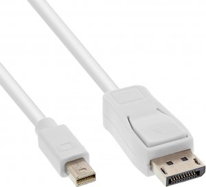 Kabel InLine DisplayPort Mini - DisplayPort 1m biały (17131) 1