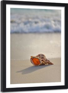 Feeby Obraz w ramie czarnej, muszelka na plaży 40x60 1