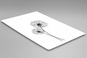 Feeby Narysowane dwa dmuchawce 20x30 2