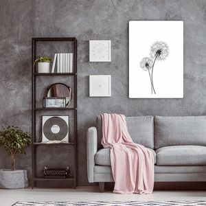 Feeby Narysowane dwa dmuchawce 20x30 3