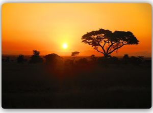 Feeby Afrykański zachód słońc 30x20 1