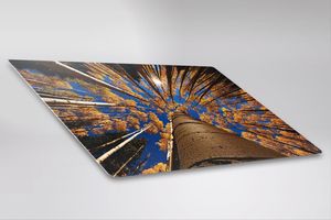 Feeby korony drzew 30cmx20cm 2