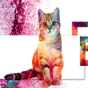 Feeby Wydruk na metalu, wielokolorowy ko 40x30 4