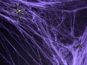 Party Deco Sieć pajęcza fioletowa z 2 pająkami - Pajęczyna Halloween - 60 g. p uniwersalny 1