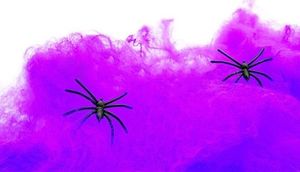 Party Deco Sieć pajęcza fioletowa z 2 pająkami - Pajęczyna Halloween - 60 g. p uniwersalny 2