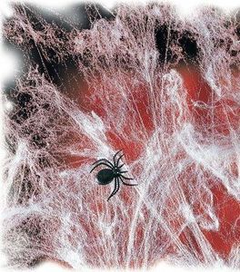 Party Deco Sieć pajęcza z 2 pająkami - Pajęczyna Halloween - 60 g. uniwersalny 1