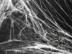 Party Deco Sieć pajęcza z 2 pająkami - Pajęczyna Halloween - 60 g. uniwersalny 6