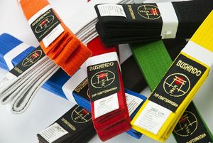 Bushido Pas do kimon Bushindo 240 cm Żółty uniwersalny 3