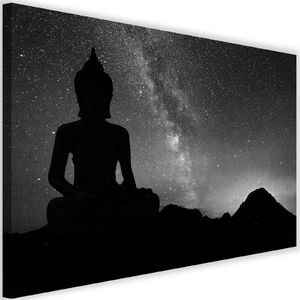 Feeby Obraz na płótnie - Canvas, Budda i zorza polarna 90x60 1