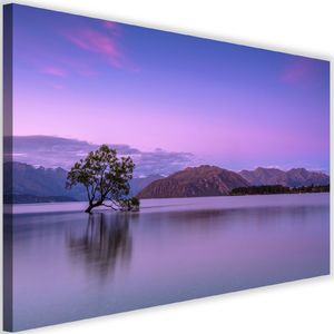Feeby Obraz na płótnie - Canvas, Drzewo na środku jeziora 1 60x40 1