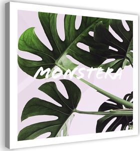 Feeby Obraz na płótnie - Canvas, Egzotyczne liście monstera 40x40 1