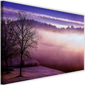 Feeby Obraz na płótnie - Canvas, Mgła nad jeziorem 4 60x40 1