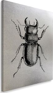 Feeby Obraz na płótnie - Canvas, Narysowany owad 1 40x60 1
