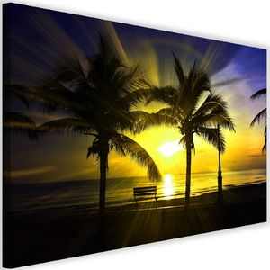 Feeby Obraz na płótnie - Canvas, Palmy i promienie słońca 4 60x40 1