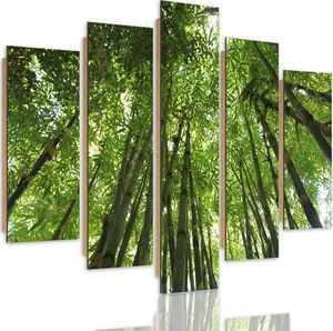 Feeby Obraz pięcioczęściowy na panelu dekoracyjnym, pentaptyk typ C, Czubki bambusów 100x70 1