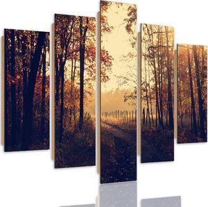 Feeby Obraz pięcioczęściowy na panelu dekoracyjnym, pentaptyk typ C, Droga polna przy lesie 200x100 1
