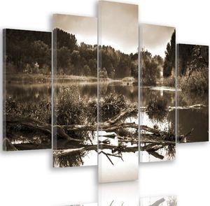 Feeby Obraz pięcioczęściowy na płótnie Canvas, pentaptyk typ A, Powalone drzewo w jeziorze 1 300x140 1