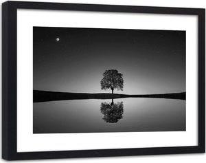 Feeby Obraz w ramie czarnej, Samotne drzewo 2 120x80 1