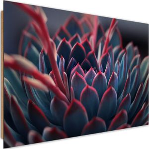 Feeby Deco Panel, Piękna roślina 90x60 1