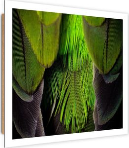 Feeby Deco Panel, Zielone pióra 50x50 1