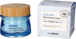 SAEM Krem do twarzy Iceland Water Volume Cream nawilżający 80ml 1
