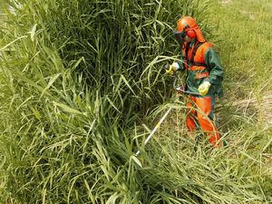 Oleo-Mac OLEO MAC BC 300 T KOSA SPALINOWA DO TRAWY PROFESJONALNA WYKASZARKA PODKASZARKA PODCINARKA MOC 1,5KM KLASA PREMIUM 61289005E2 uniwersalny 8