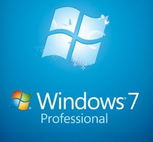 System operacyjny Microsoft Windows 7 Professional EN 64 bit OEM (FQC-08289) 1