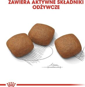 Royal Canin Maxi Joint Care karma sucha dla psów dorosłych, ras dużych ochrona stawów 10kg 5