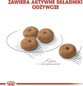 Royal Canin Royal Canin Mini Sterilised karma sucha dla psów dorosłych, ras małych, sterylizowanych 1kg 5