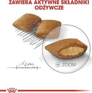 Royal Canin Royal Canin Mini Exigent karma sucha dla psów dorosłych, ras małych, wybrednych 1kg 5