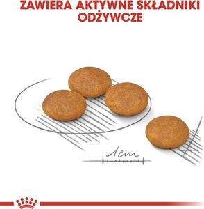 Royal Canin Royal Canin Mini Dermacomfort karma sucha dla psów dorosłych, ras małych o wrażliwej skórze skłonnej do podrażnień 8kg 5
