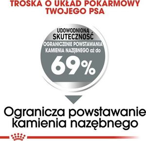 Royal Canin Mini Dental Care karma sucha dla psów dorosłych ras małych do 10 kg higiena zębów 3kg 3