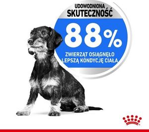 Royal Canin Mini Light Weight Care karma sucha dla psów dorosłych, ras małych z tendencją do nadwagi 3kg 4