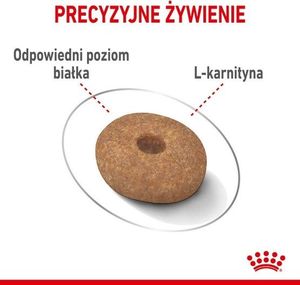 Royal Canin Mini Light Weight Care karma sucha dla psów dorosłych, ras małych z tendencją do nadwagi 3kg 5
