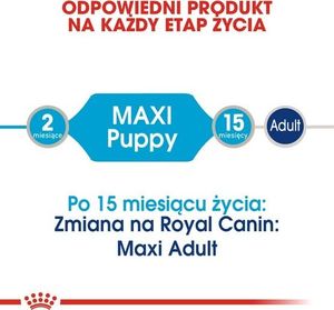 Royal Canin Maxi Puppy karma mokra dla szczeniąt, od 2 do 15 miesiąca życia, ras dużych saszetka 140g 3