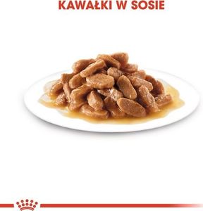 Royal Canin Maxi Puppy karma mokra dla szczeniąt, od 2 do 15 miesiąca życia, ras dużych saszetka 140g 4