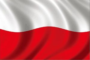 Enero Naklejka Magnetyczna 30X20Cm Polska Flag 1