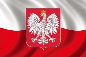 Enero Naklejka Magentyczna 30X20Cm Polska Polska Godło 1