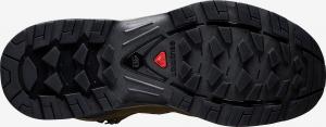 Buty trekkingowe męskie Salomon Buty męskie Quest 4D 3 Gtx oliwkowe r. 46 (409443) 2